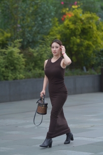 【精选街拍】Vol.2190 棕色修身长裙 [182P-2.02GB]